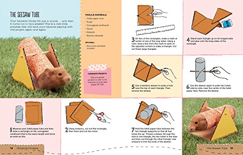 image for Firefly Books Homemade for Hamsters: Over 20 Fun Projects Anyone Can M