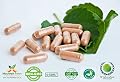 Elderflowers Sambucus Pure Herb Capsules 100 X 250mg