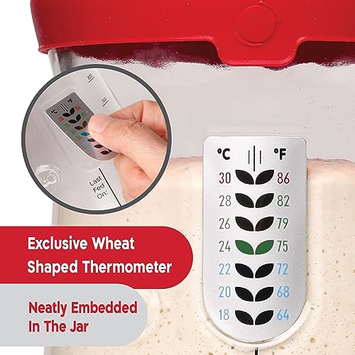 KNEADACE Pro Sourdough Bread Starter Kit 34 oz Large Capacity