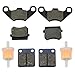 HIAORS Front Rear Brake Pad and Fuel Filter for Twister 150 GT GTS SS 250 157QMJ 1P57QMJ Tomberlin 150cc Buggy TrailMaster 150 XRS Go Kart 4 Wheeler