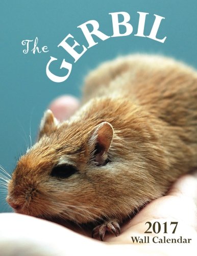 The Gerbil 2017 Wall Calendar (UK Edition)