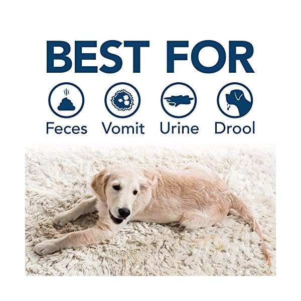 Simple Solution Extreme Pet Stain and Odour Remover | Enzymatic Cleaner with 3X Pro-Bacteria Cleaning Power - 945ml