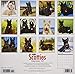 Just Scotties 2019 Wall Calendar (Dog Breed Calendar)
