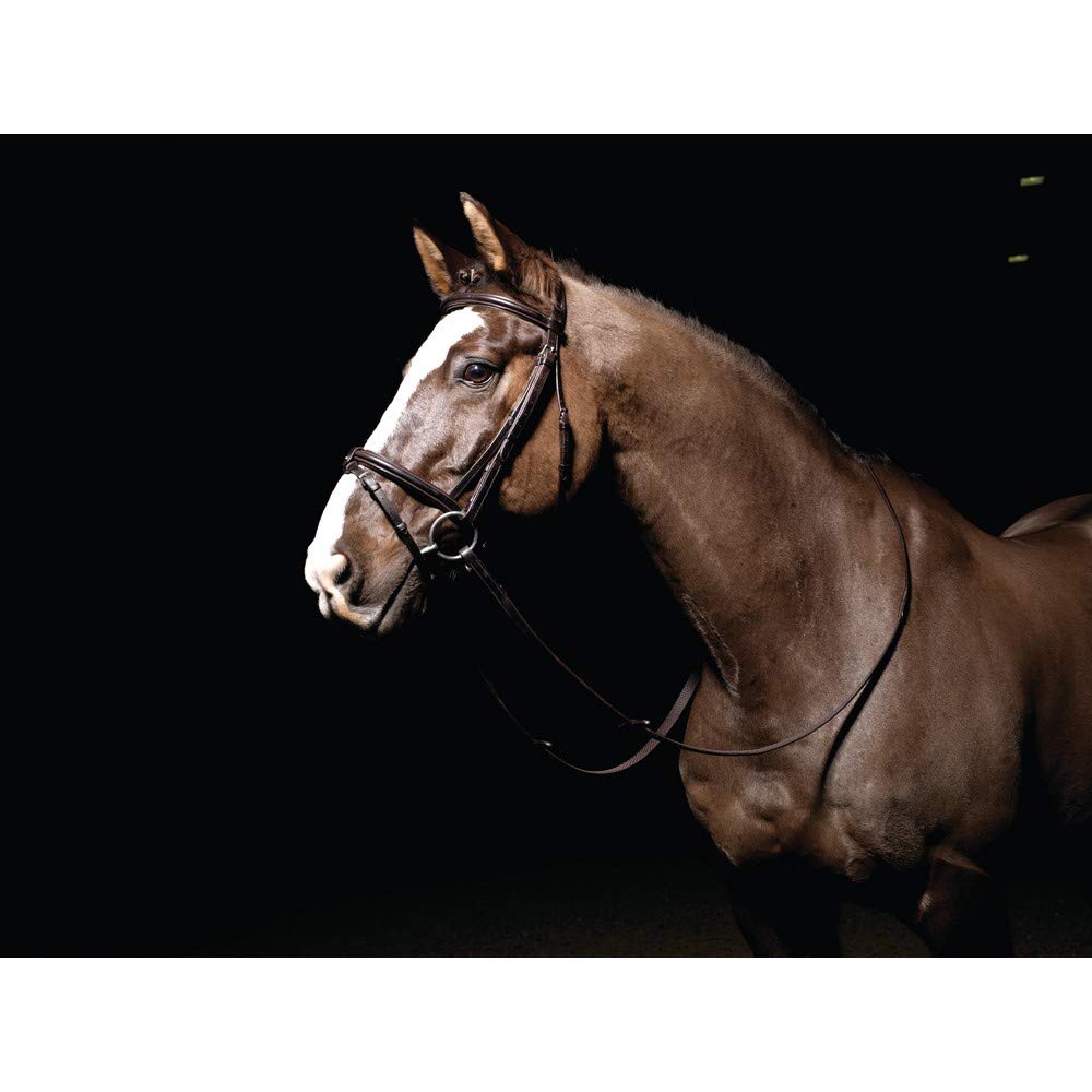 Rio Women Caldene Bridle Flash Padded/Raised with Reins Bridles - Black, XFull