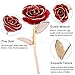24K Red Rose Gold Leaf Christmas Her, Eternal Preserved Long Stem Rose with Golden Leaf, Valentine's Day, Wedding Anniversary, Birthday, Graduation, Mother's Day (Red gold