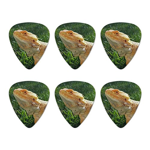 Bearded Dragon in Profile Novelty Guitar Picks Medium Gauge - Set of 6