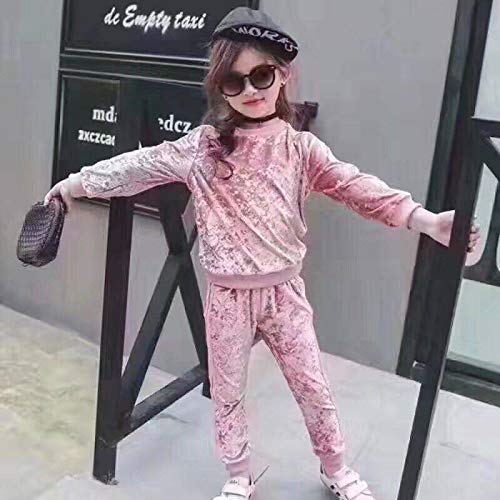 2Pcs Baby Girls Boys Velvet Long Sleeve Blouse Tops + Long Pants Outfits Set Coral Fleece Fall Winter Clothes (Pink, 110 (3-4T))