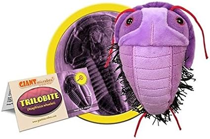 tardigrado peluche amazon