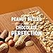CLIF Whey Protein – Snack Bar – Peanut Butter & Chocolate Flavor – (1.98 Ounce Complete Protein Bar, 8 Count)thumb 2