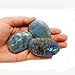 ONE (1) Labradorite Polished Stone - Labradorite Slabs - Freeform Labradorite Rocks - Tumbled Stones - Rock Paradise Exclusive COA
