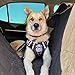 TIANYAO Dog Harness No-Pull Dog Vest Set Reflective Adjustable Oxford Material Pet Harness for Medium Large Dogs with Leash and Collar (X-Large(Chest:35-43”), Black)
