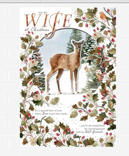 Hallmark Wife Pop Up Christmas Card - to My Wife at Christmas Deer Design