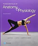 Fundamentals of Anatomy & Physiology, 11th Edition-Wow! eBook