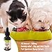 Hemp Oil for Dogs and Cats 500mg Helps Relieve Anxiety with a Full Spectrum of Hemp Extract for Pets, Helps with Pet Hips and Joint Relief with a Calming Effect for Your Cat or Dog