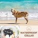 IPETS PET619S 100% Waterproof & Rechargeable Dog Shock Collar 900 ft Remote Dog Training Collar with Beep Vibrating Electric Shock Collar Dogs (10-100lbs)