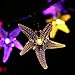 ZEEFO Starfish Solar String Lights, 20ft 30 LED Solar Powered light, Outdoor Fairy Waterproof Night Lights for Indoor, Christmas Trees, Garden, patio and Holiday Decorative Wall Light (Multi-Color)