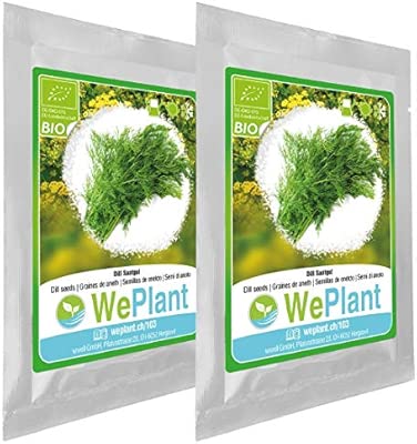 BIO/ORGANICO Eneldo - Semillas ecológicas de plantas naturales ...