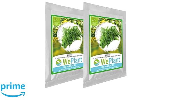 BIO/ORGANICO Eneldo - Semillas ecológicas de plantas naturales ...