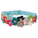 Beirui Cute PU Leather Dog Collar with Adorable Flowers Neck for 10-13