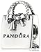 Pandora Sterling Silver Bag Charm 791184