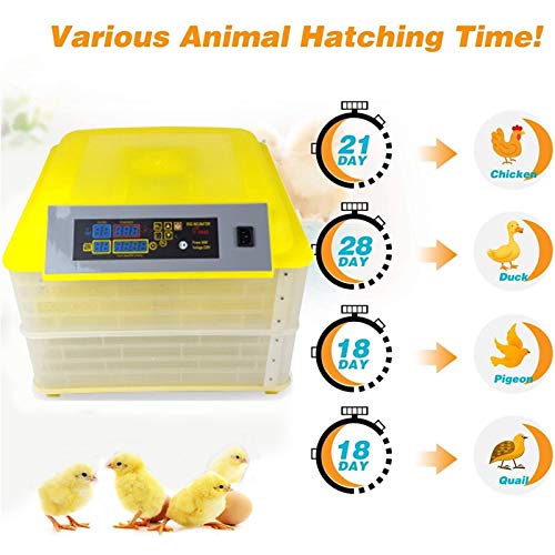CHICTI Inkubator Vollautomatisch Brutautomat Mit Temperaturregelung Brutkasten Brutmaschine Hühner for Ente Gans Taube… – Bild 5
