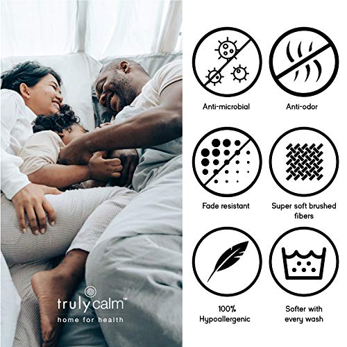 TRULY CALM HOME FOR HEALTH Antimicrobial Pillows, King, White Pricepulse