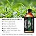 URPOWER Tea Tree Oil, 4 Ouce/ 120ml 100% Pure and Natural Tea Tree Essential Oil, Steam Distilled Essential Oils, Perfect for Massage, Aromatherapy, Diffusion, spa