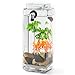 NoClean Aquariums [Newest Version] GravityFlow Self-Cleaning Glass Betta Fish Aquarium - The Original Self Cleaning Aquarium! [2nd Generation]