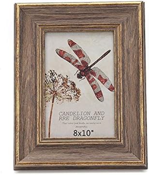 leyoubei Vintage Feel Simple 8X10" Frame For Documents Or Photo Graphs,Family Photo Picture Frame Display Horizontally Or Vertically Frame (Deep Brown Dragonfly)