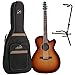 Seagull 040414 Entourage Rustic Concert Hall CW QIT Acoustic Electric Guitar w/ Gig Bag and Stand