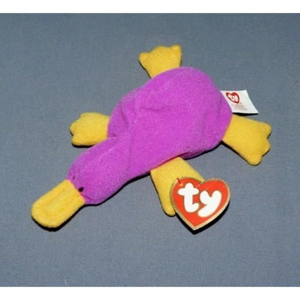 patterdale terrier puppies for sale near me