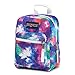 JanSport Big Break Lunch Bag - Dye Bomb - Insulated