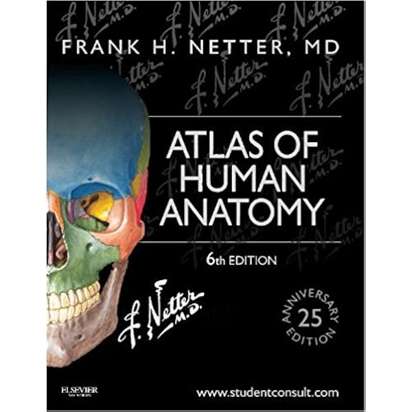 洋書 A Colour Atlas of Human Anatomy Color Atlas of Human Anatomy: Vol. 1 Locomotor System