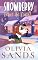 Livro Snowberry Febre de Natal: Um Romance de Natal Aconchegante em uma Pequena Cidade (Snowberry Hill - Português Livro 5)