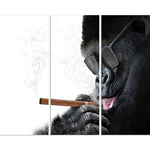 Top 5 gorilla tape for posters