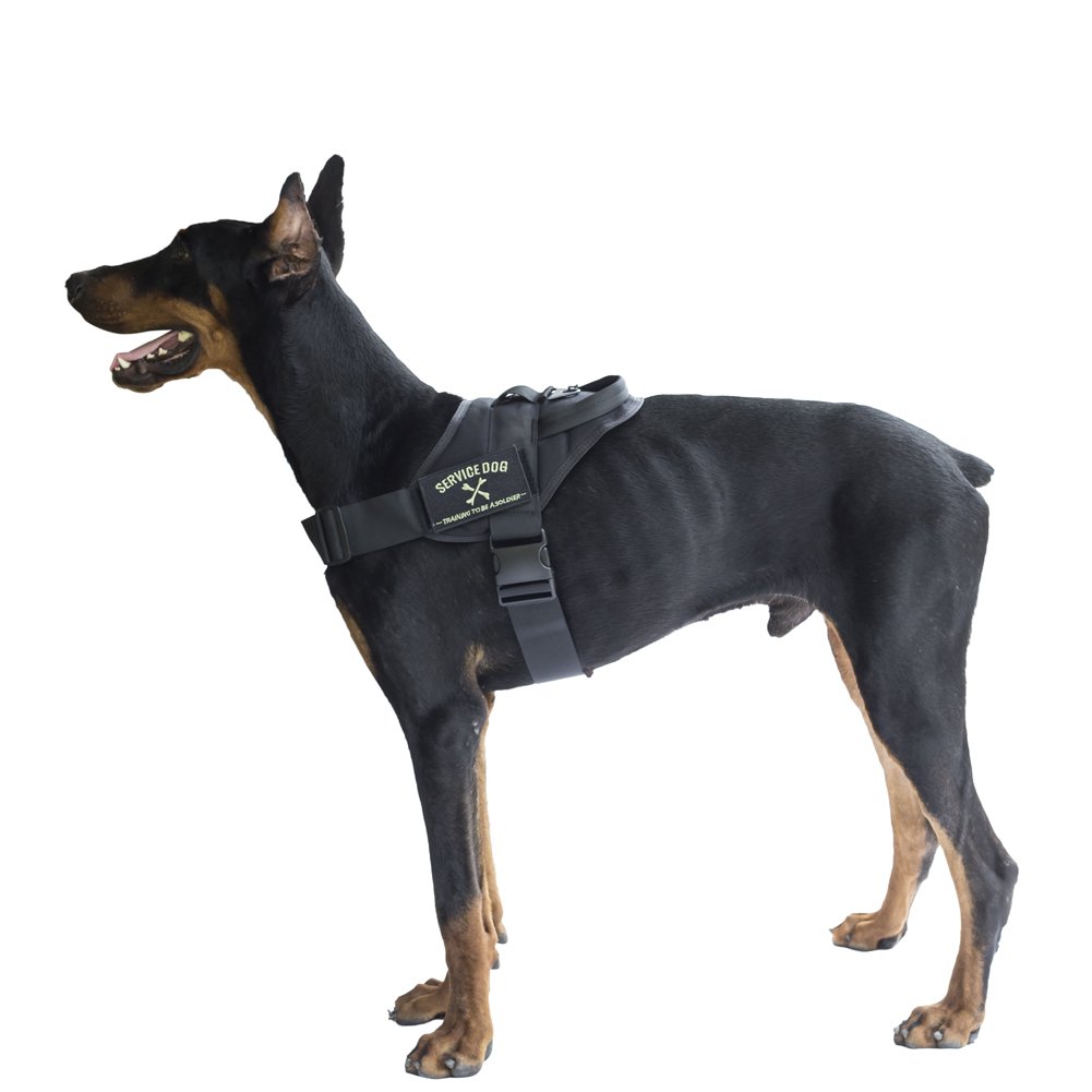 Tactical K9 Training Vest Adjustable Service Dog Harness