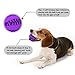 Toy Ball for Dogs [Dental Treat][Bite Resistant] Jakpak Durable Non-Toxic Strong Tooth Cleaning Dog Toy Balls for Pet Training/Playing/Chewing,Soft Rubber,Bouncy,Tennis Ball Size 2.8 Inch