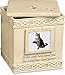 MMP Living Pet Urn Memorial Keepsake (If Love Could Have Saved You- Top Lid)