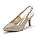 DREAM PAIRS Women's Lop Low Heel Pump Shoes