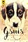 Livro Gsuis