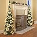 Collections Etc. Lighted Holiday Poinsettia Pull-Up Christmas Tree with White Poinsettias, White Lights and Greenery