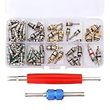 ESUMIC Car Air Conditioning Core Valves 102Pcs,R12 R134A Automotive A/C Valve Stem Cores w/Removal Tool for Car Air Contitionaing Repair