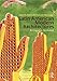 Latin American Modern Architectures: Ambiguous Territories by Patricio del Real, Helen Gyger