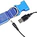ILLUMISEEN LED Dog Collar USB Rechargeable - Bright & High Visibility Lighted Glow Collar for Pet Night Walking - Weatherproof, in 6 Colors & 6 Sizes (Green Small)
