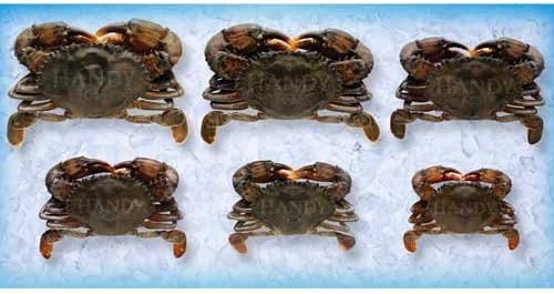 Handy Soft Shell Wild Caught Prime Crab, 2.8 Ounce - 48 per case.