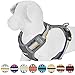 Blueberry Pet Soft & Comfy 3M Reflective Dog Harness Vest | Mesh Padded No Pull Dog Harness w/Back Clips | Multi-Colored Stripe - Ginger and Blue | Reflective Dog Harness for Large Dogs