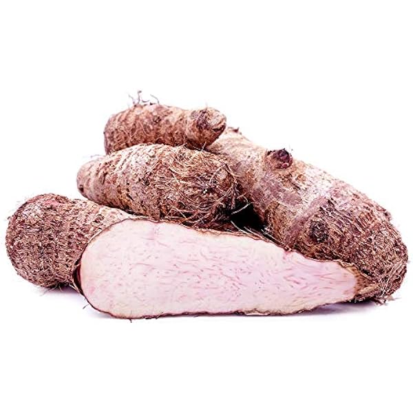 Amazon.com: Fresh Whole Yuca Root Cassava Manioc Mandioca
