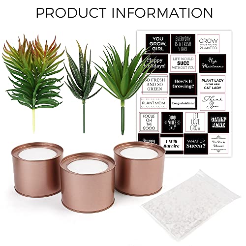 LotFancy Faux Succulents Plants for Desk Decor, Office Artificial Potted Fake Plants for Bedroom Kitchen, 3 Pcs Plastic Artificial Succulents with Metallic Rose Gold Jars & Decoration Accessories