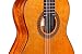 Cordoba Cadete 3/4 Size Classical Acoustic Nylon String Guitar, Iberia Series