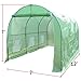 Strong Camel New Hot Green House 12'X7'X7' Larger Walk in Outdoor Plant Gardening Greenhouse